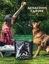 audacious-canine-ketone-superfood-powder-2.jpg