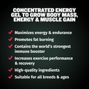bully-max-3-in-1-liquid-dog-muscle-build-3.jpg