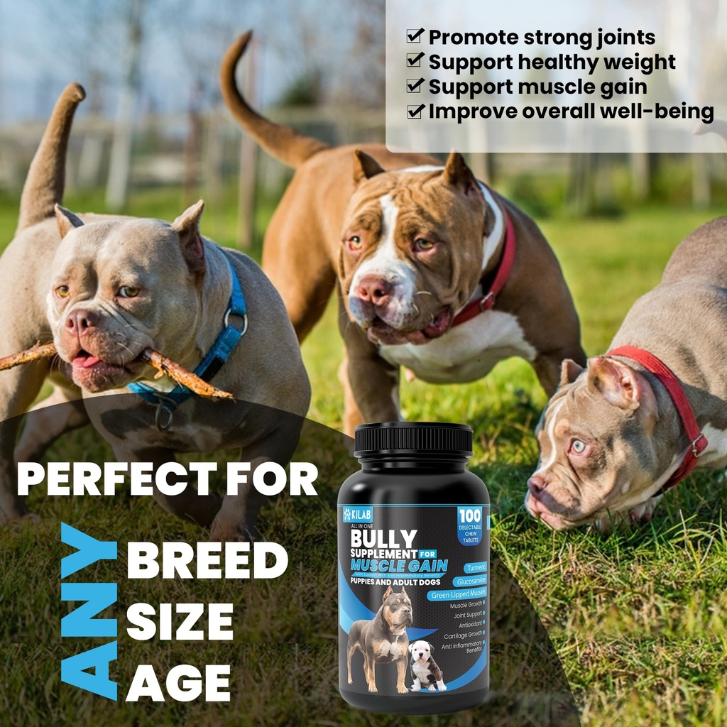 kilab-dog-weight-gainer-100-count-muscle-4.jpg