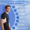 lymphatic-drainage-drops-liposomal-lymph-5.jpg