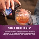 wishgarden-herbs-serious-v-fighter-liqui-5.jpg