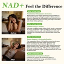 nad-supplement-for-healthy-aging-energy--6.jpg