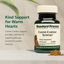 standard-process-inc-canine-cardiac-supp-3.jpg