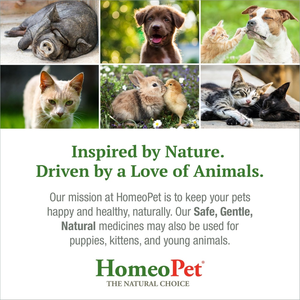 homeopet-feline-nose-relief-safe-and-nat-6.jpg