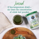 garden-of-life-raw-organic-perfect-food--4.jpg
