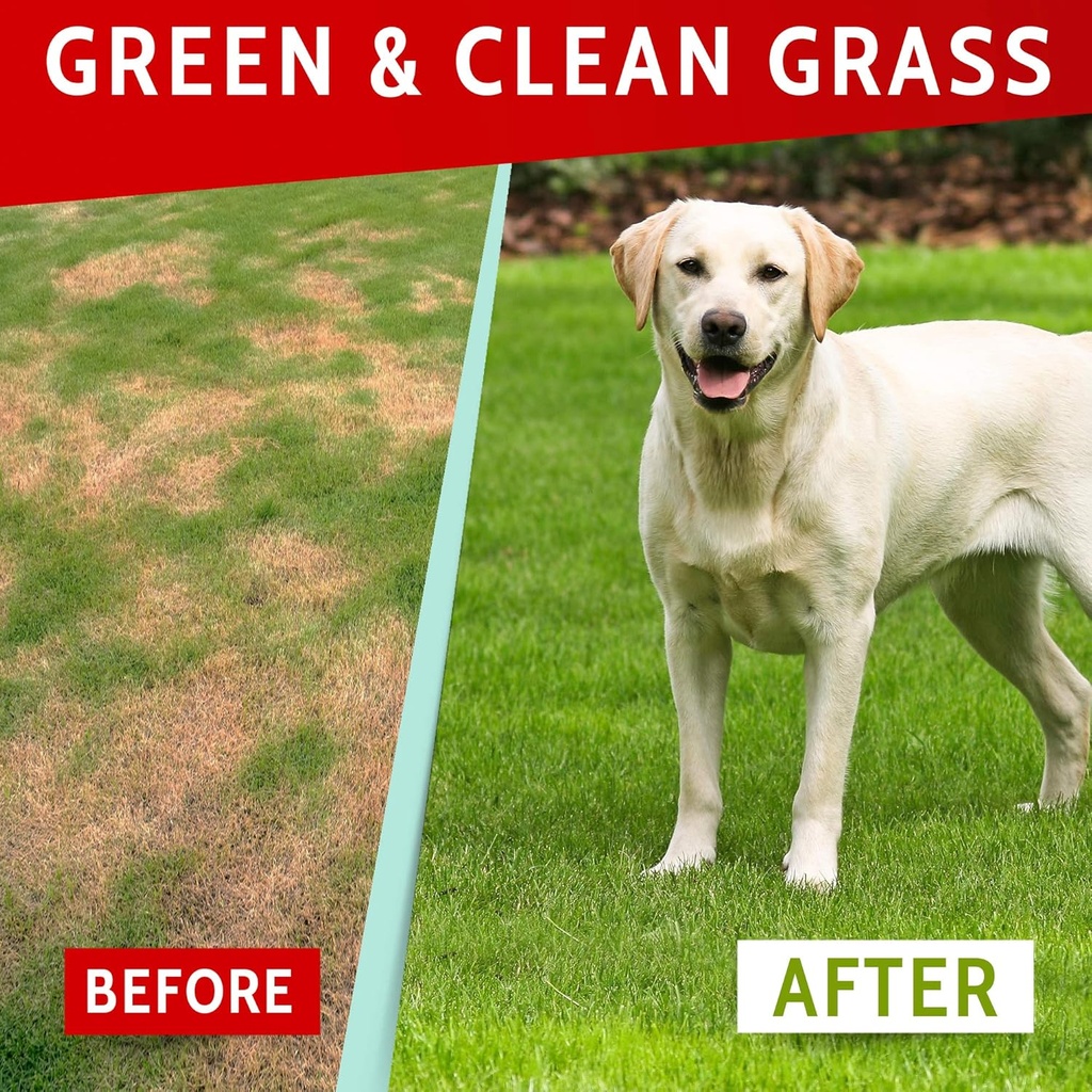 pawfectchew-dog-pee-grass-helper---grass-2.jpg