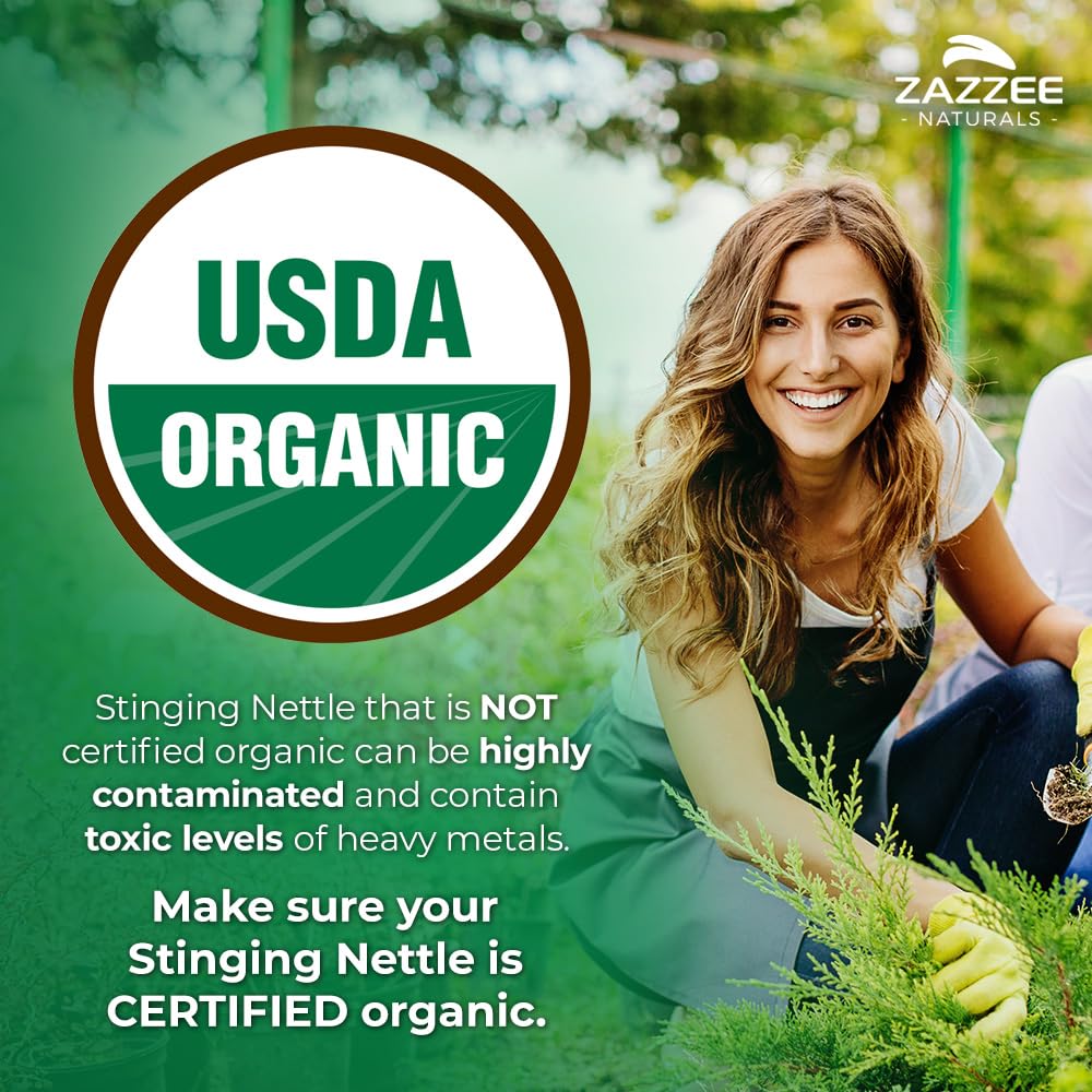 zazzee-usda-organic-stinging-nettle-leaf-2.jpg