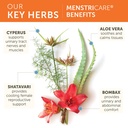 himalaya-menstricare-30-day-supply-suppo-3.jpg