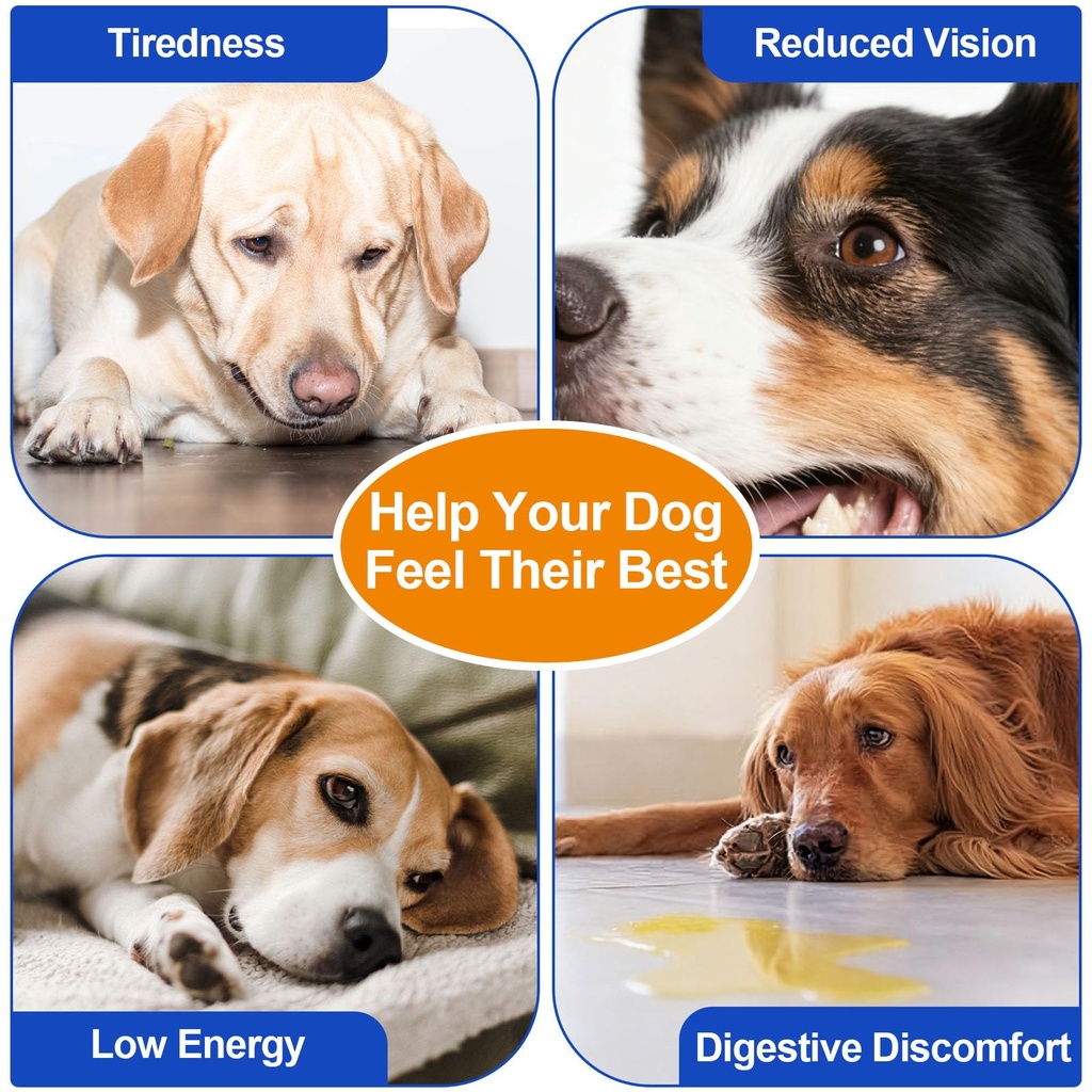 taurine-powder-for-dogs-pure-dog-taurine-4.jpg