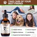 turkey-tail-mushroom-for-dogs-natural-tu-2.jpg