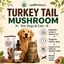 turkey-tail-mushroom-for-dogs-lipoma-sup-2.jpg