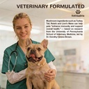 organic-turkey-tail-mushroom-for-dogs-10-5.jpg