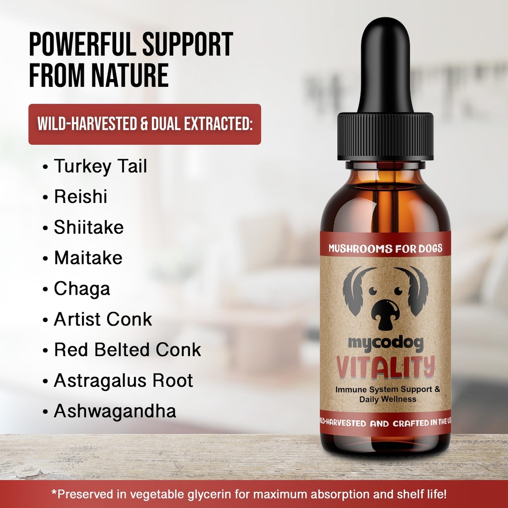 mycodog-vitality-20-in-1-mushroom-adapto-4.jpg