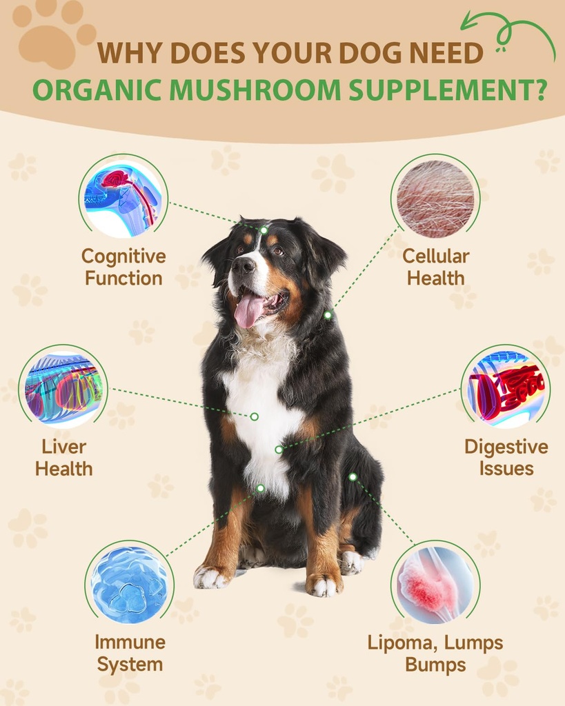9-in-1-mushroom-supplement-for-dogs-dige-2.jpg