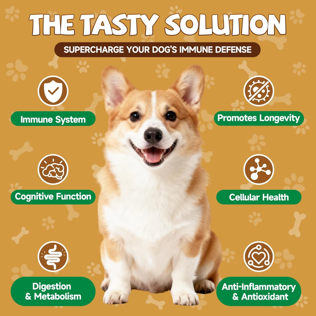 mushrooms-for-dogs-turkey-tail-mushroom--2.jpg