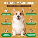 mushrooms-for-dogs-turkey-tail-mushroom--2.jpg
