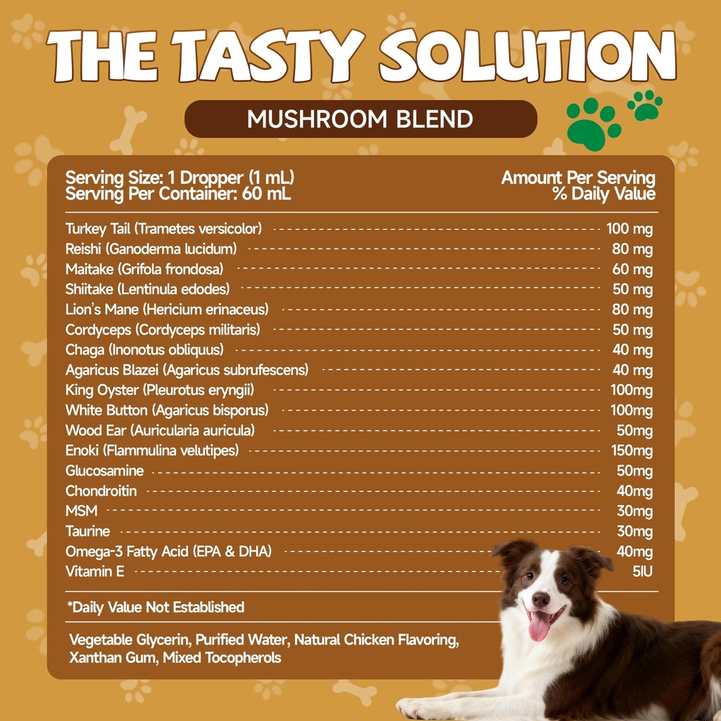 mushrooms-for-dogs-turkey-tail-mushroom--3.jpg