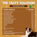 mushrooms-for-dogs-turkey-tail-mushroom--3.jpg