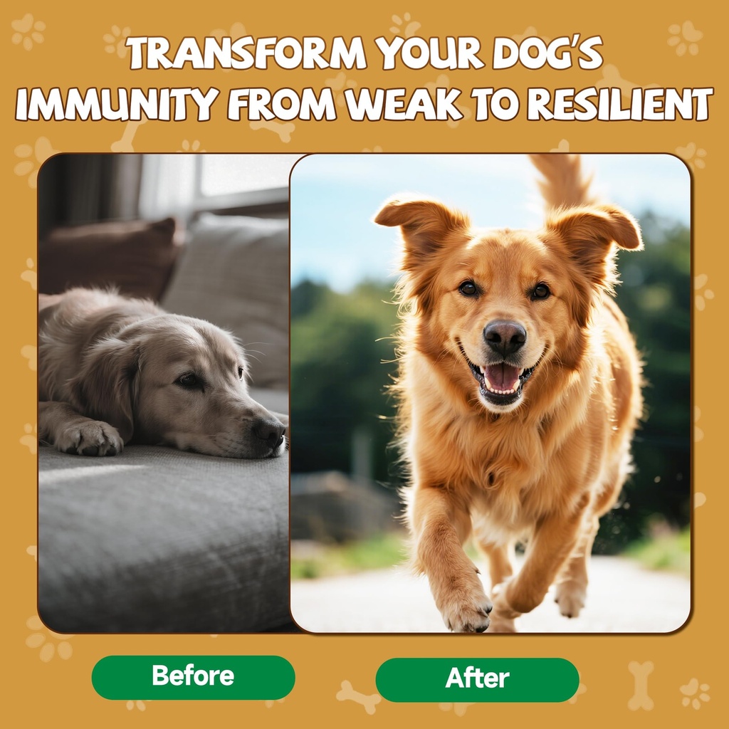 mushrooms-for-dogs-turkey-tail-mushroom--4.jpg
