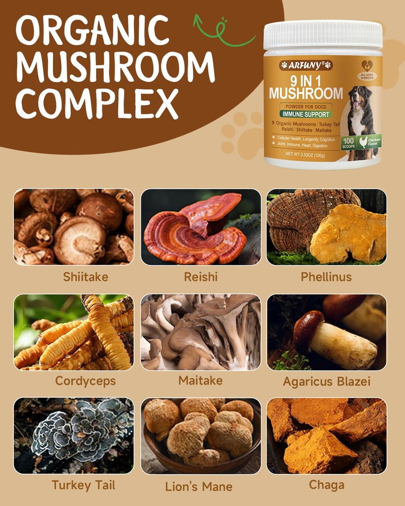 mushroom-for-dogs-9-organic-mushroom-sup-4.jpg