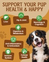 mushroom-for-dogs-9-organic-mushroom-sup-6.jpg