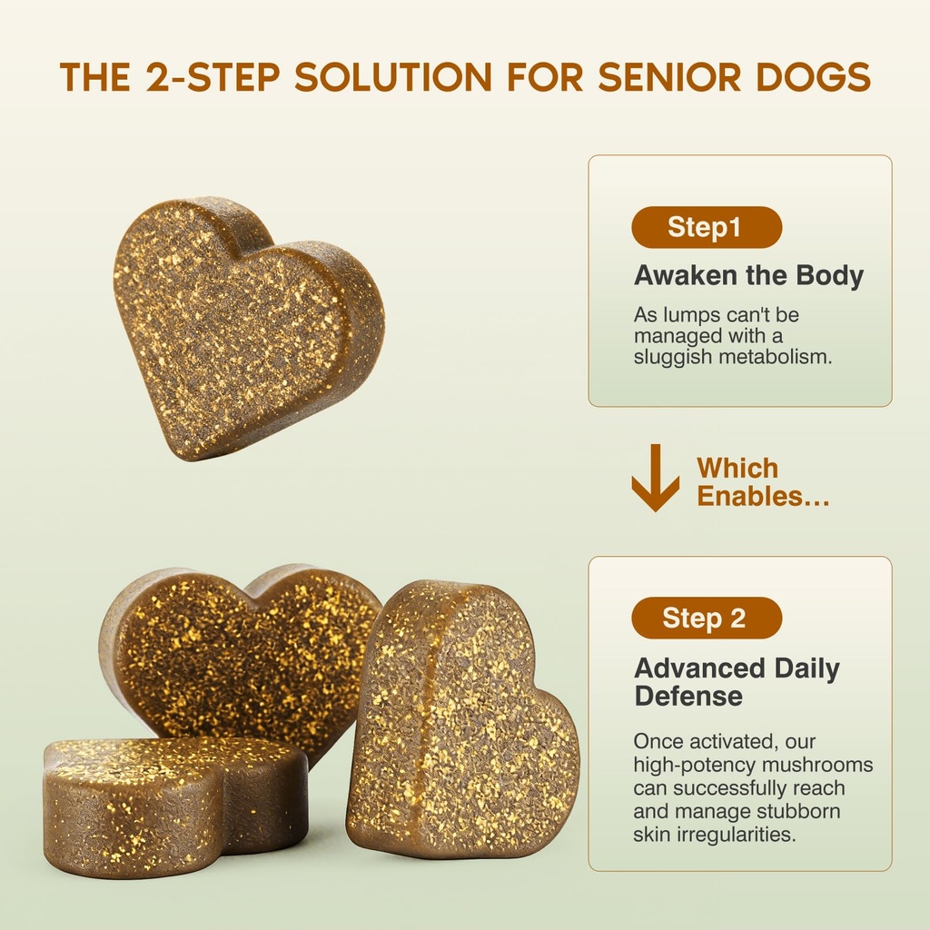 turkey-tail-mushroom-for-dogs-senior-dog-2.jpg