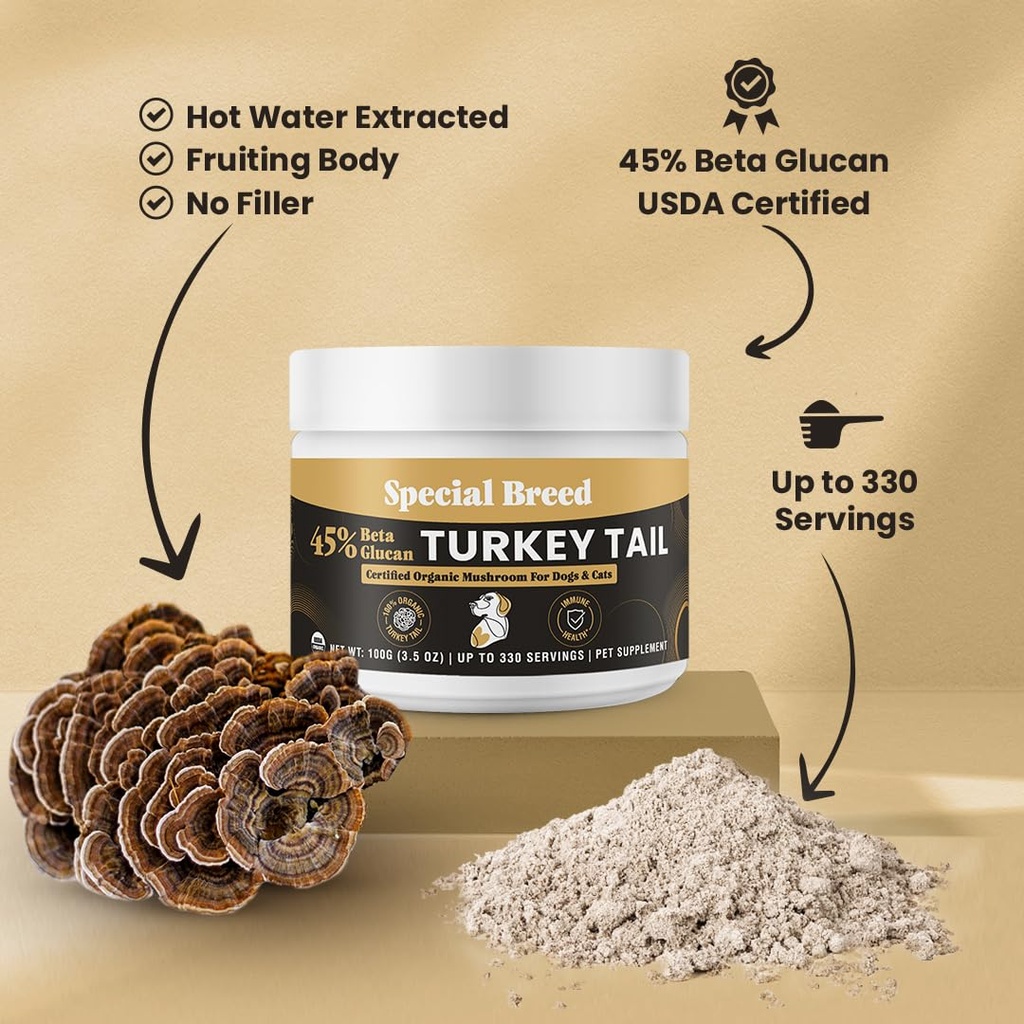 organic-turkey-tail-mushroom-for-dogs-an-4.jpg