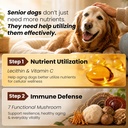 pawpulse-formula-mushroom-chews-for-dogs-5.jpg
