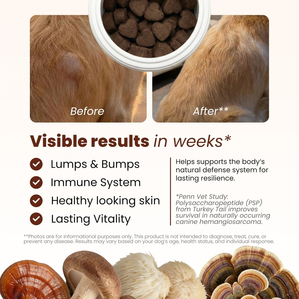pawpulse-formula-mushroom-chews-for-dogs-3.jpg