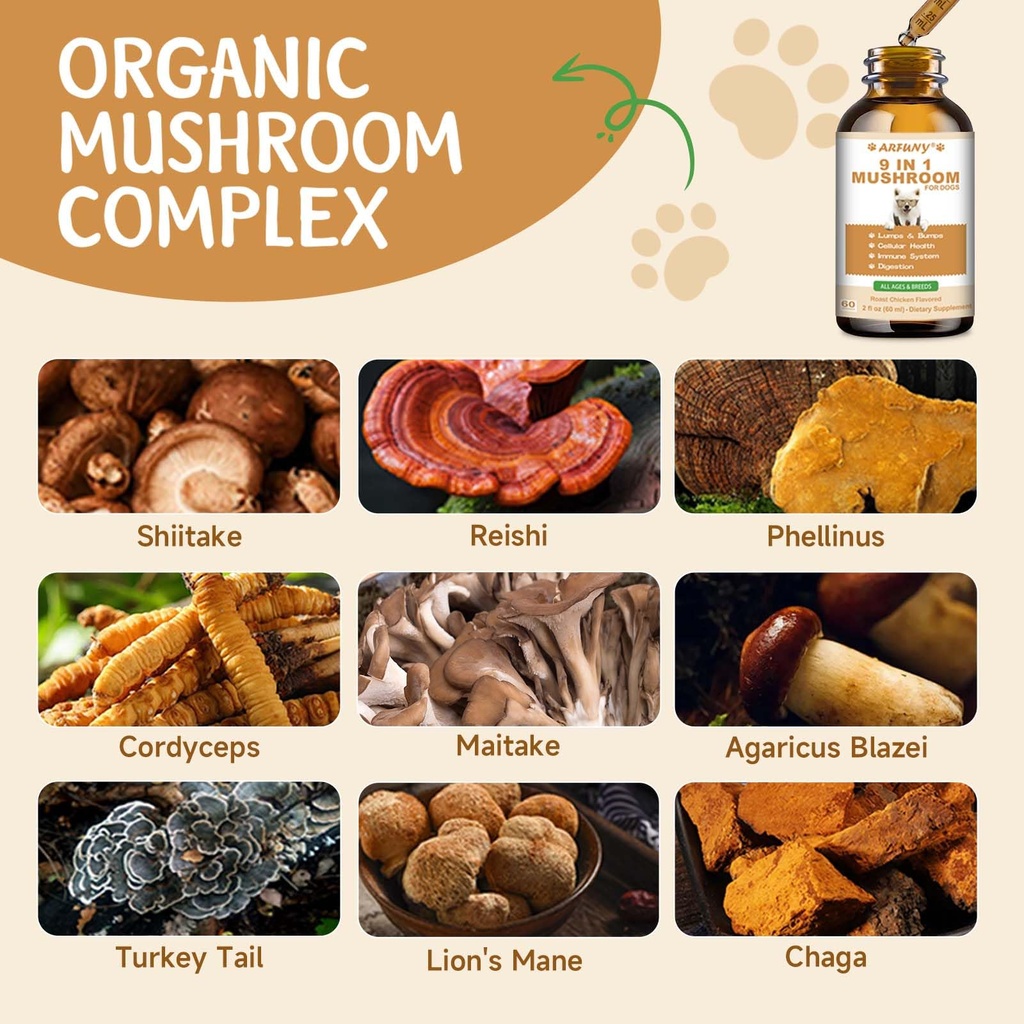 9-in-1-mushroom-supplement-for-dogs-turk-3.jpg