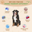 9-in-1-mushroom-supplement-for-dogs-turk-2.jpg