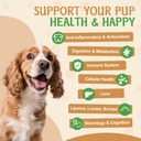 9-in-1-mushroom-supplement-for-dogs-turk-4.jpg