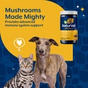 naturvet-mushroom-max-advanced-immune-su-3.jpg