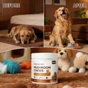 turkey-tail-mushroom-for-dogs-mushroom-c-5.jpg
