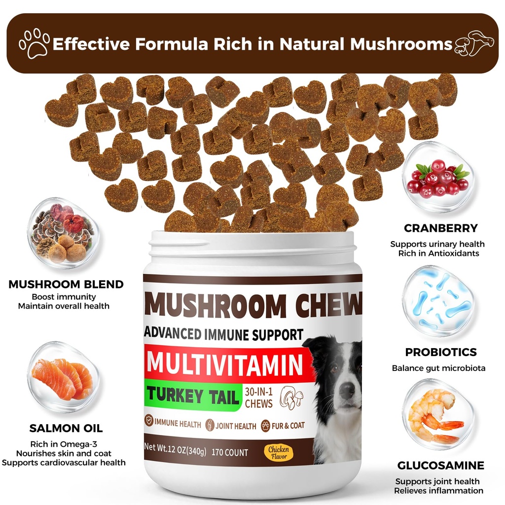 turkey-tail-mushroom-for-dogs-170-count--4.jpg