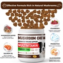turkey-tail-mushroom-for-dogs-170-count--4.jpg