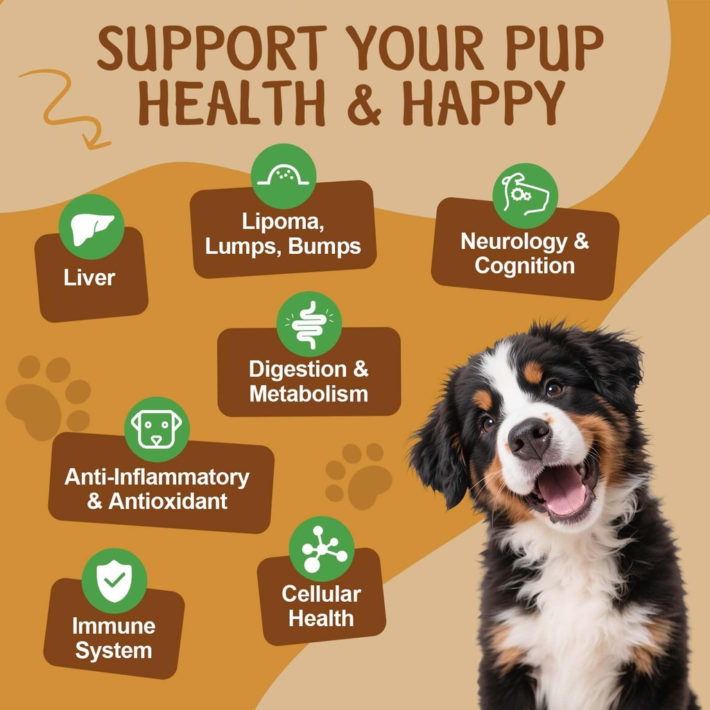 mushroom-for-dogs-turkey-tail-for-dogs-9-4.jpg