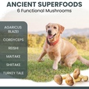 mushroom-supplement-for-dogs-with-organi-4.jpg