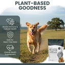mushroom-supplement-for-dogs-with-organi-3.jpg