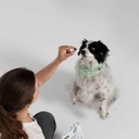 pawse-mighty-mushroom-chews-supplement-f-2.jpg