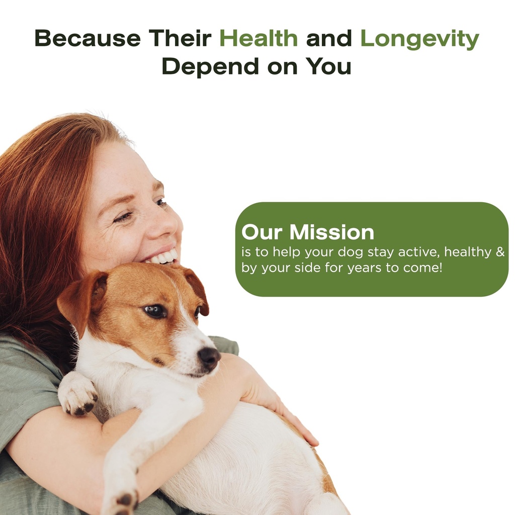 the-vet-s-dog-immune-support-dna-defense-5.jpg