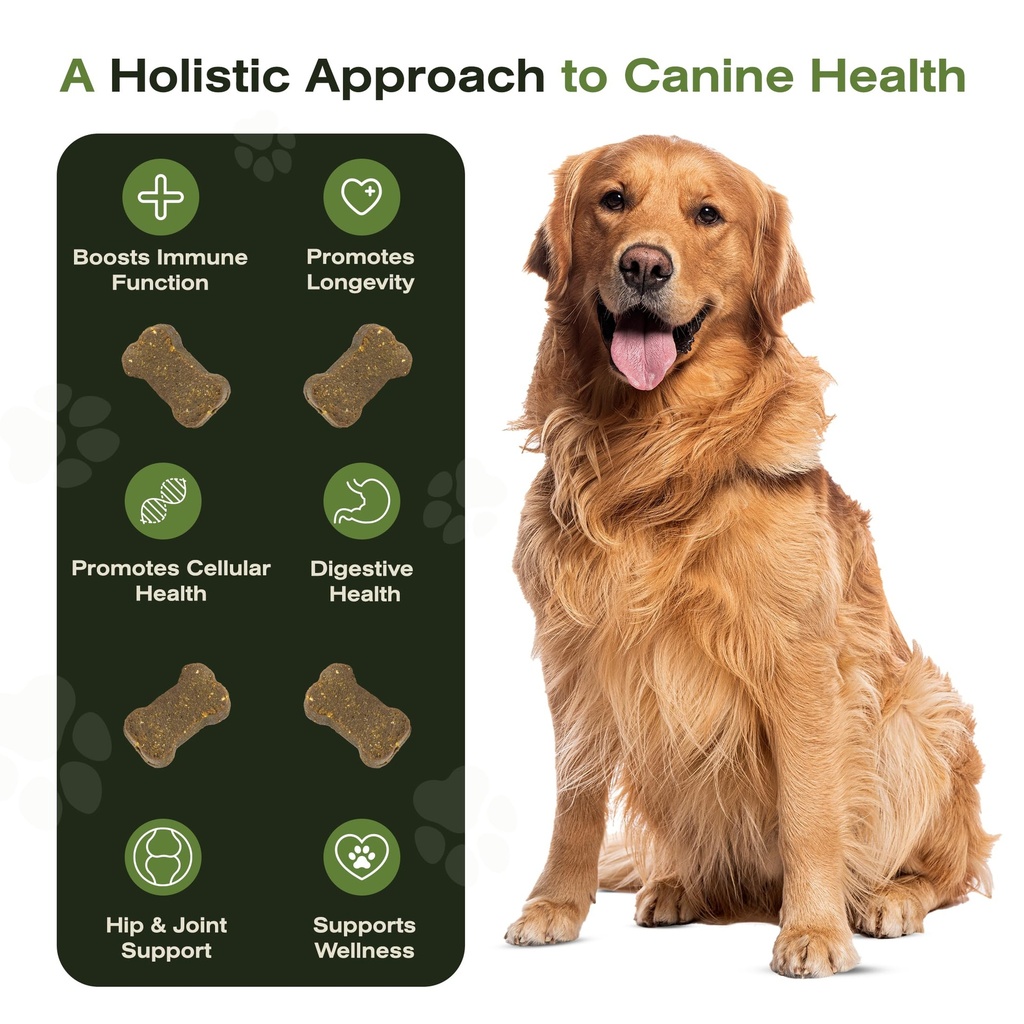 the-vet-s-dog-immune-support-dna-defense-3.jpg