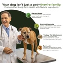 the-vet-s-dog-immune-support-dna-defense-4.jpg