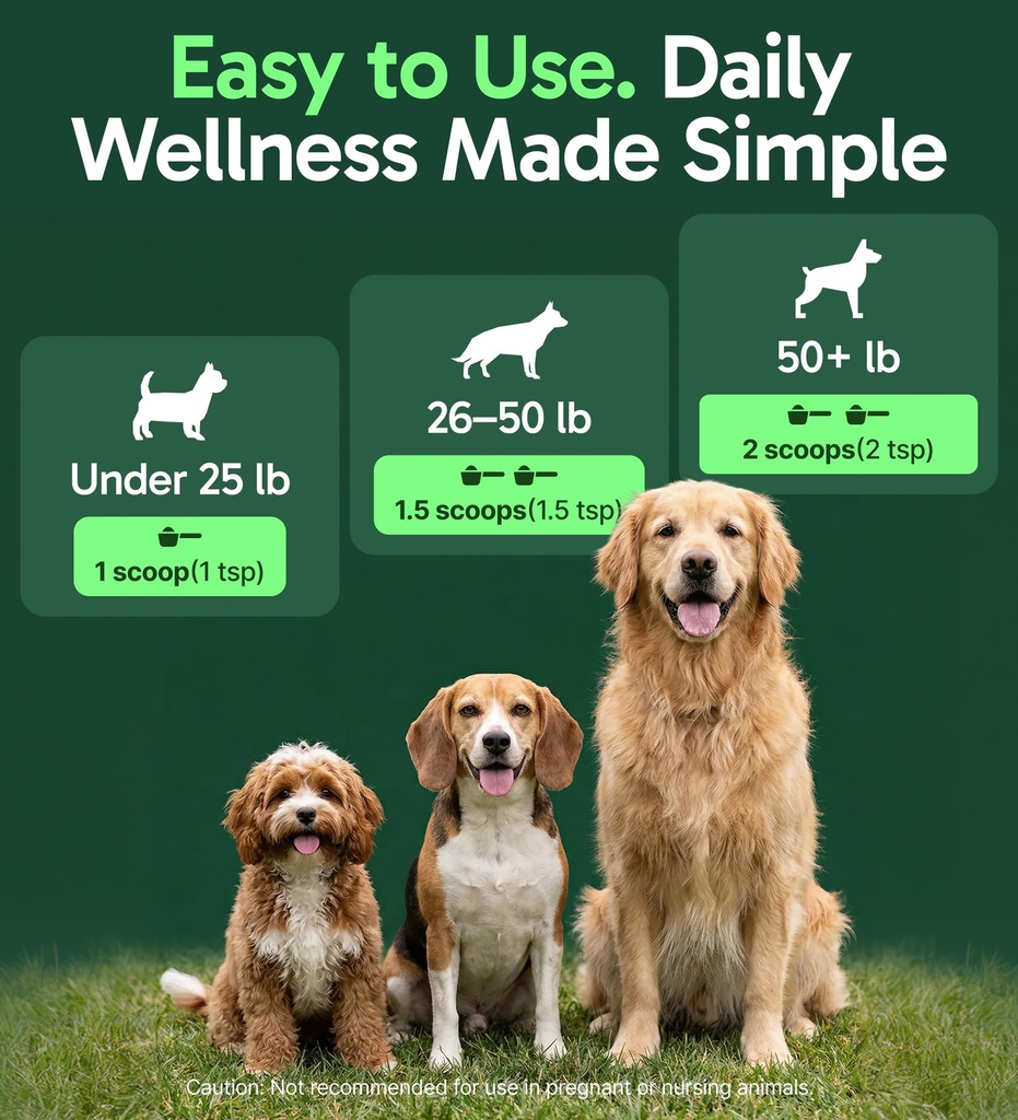 k9-immune-all-natural-mushroom-powder-fo-4.jpg