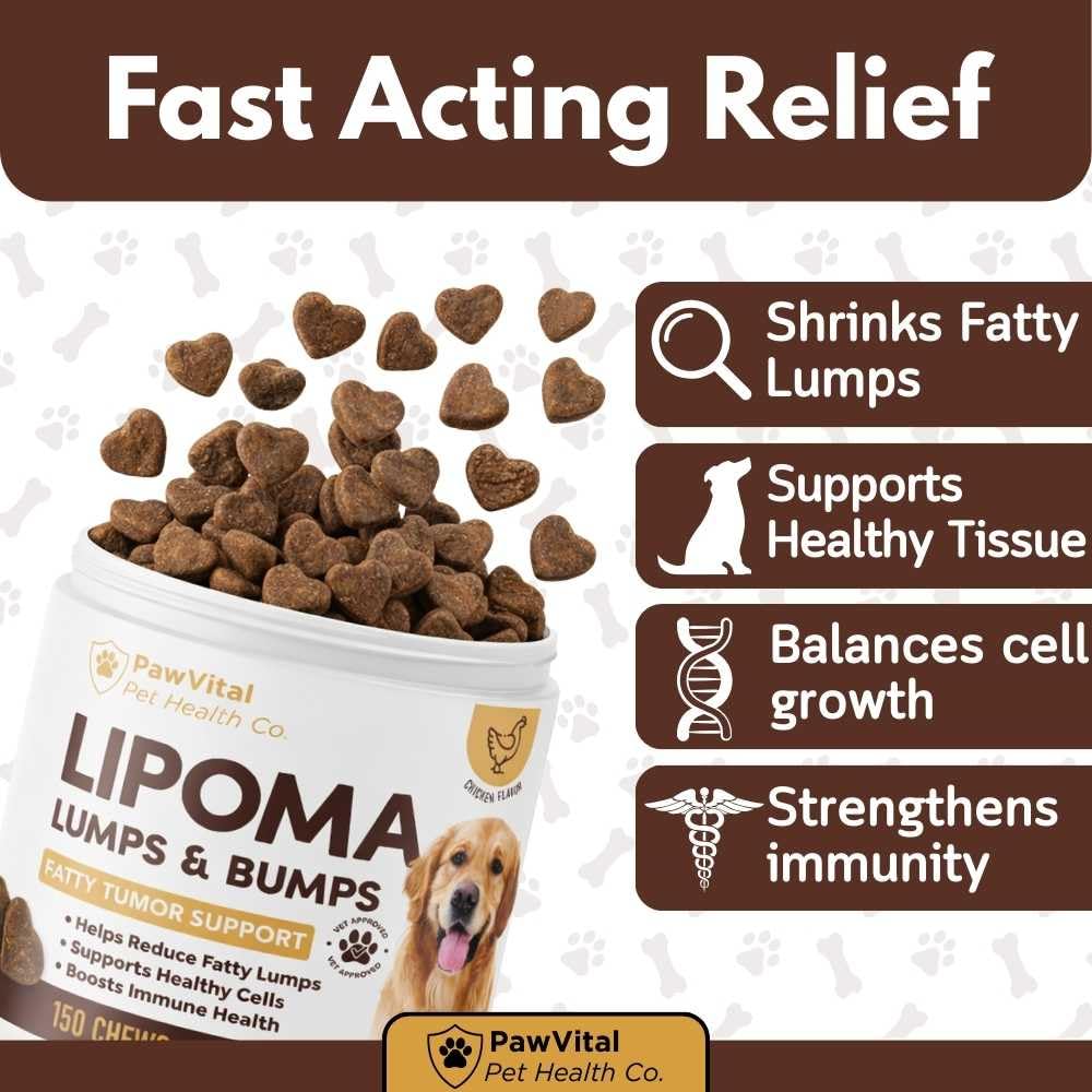 lipoma-treatment-for-dogs-lumps-bumps-su-2.jpg