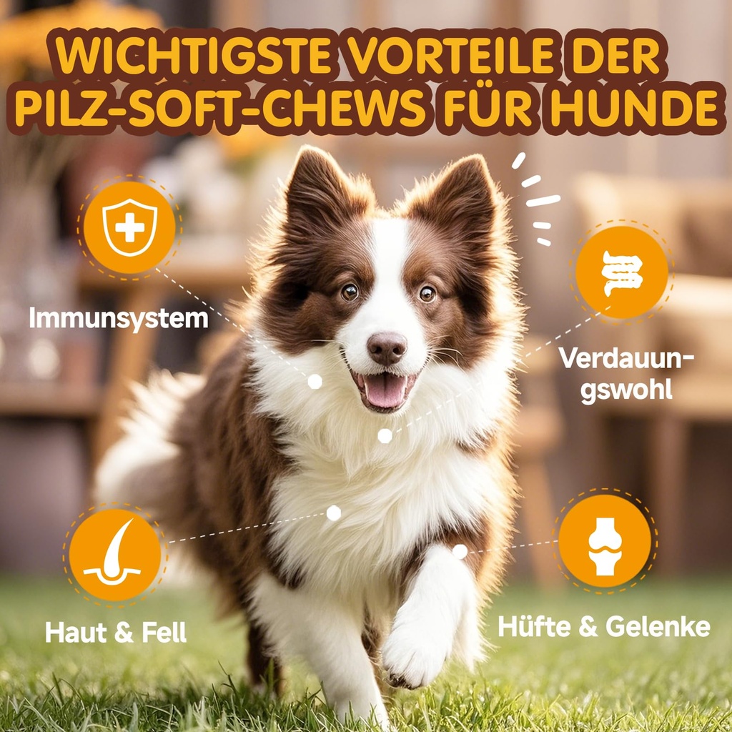 mushroom-chews-for-dogs-turkey-tail-mush-2.jpg