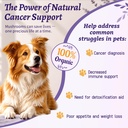 dog-cancer-supplement-4-oz-dog-cancer-ca-2.jpg