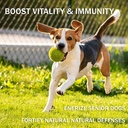 turkey-tail-mushroom-powder-for-dogs-pro-5.jpg