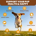 mushrooms-for-dogs-turkey-tail-mushroom--2.jpg