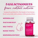 dr-stephanie-s-lactation-gummies-boost-m-3.jpg